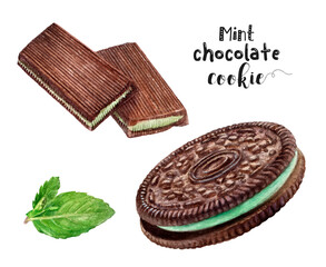 Watercolor illustration of mint chocolate cookie dessert close up. Design template for packaging, menu, postcards.  PNG
