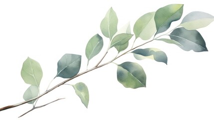 Eucalyptus branch. Watercolor illustration. Hand drawn. Generative AI