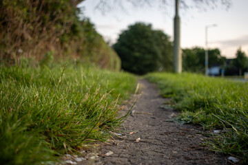 Close-Up of a Well-Trodden Path Amidst Grass in a Residential Area - Capturing the Simplicity of Daily Walks