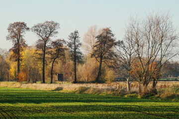 Fototapeta premium herbstliche landschaft