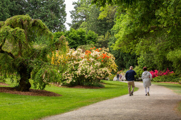 A couple walks through Washington Park Arboretum in Seattle in springtime

