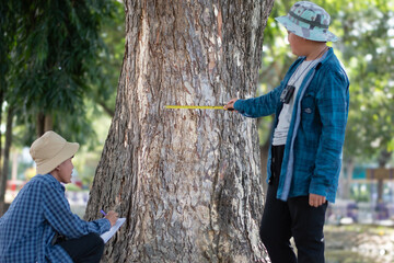 Young asian schoolboy measuring a size of tree trunk with a measuring tape and recording...