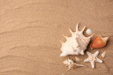 Fototapeta na wymiar Beautiful sea star and shells on sand, flat lay. Space for text