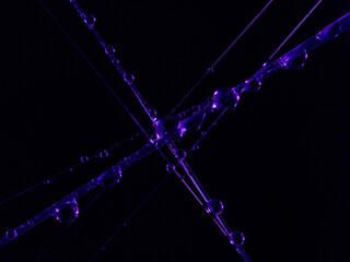 Color High resolution water drops on spiderweb. Macro photography.