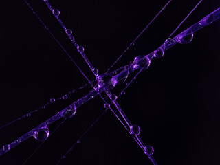 Color High resolution water drops on spiderweb. Macro photography.