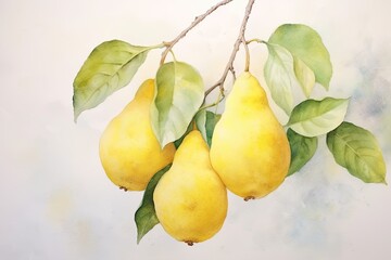 Watercolor Painting on Canvas: Pale Lemon Color Delight
