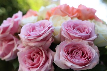 Beautiful bouquet of aromatic roses outdoors, closeup