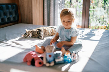 Striped cat lies on a bed and looks at a little girl with plush toys in front of her