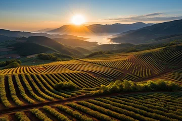 Fototapete Rund The sun is setting over a vineyard in the mountains created with generative AI technology © Golib Tolibov