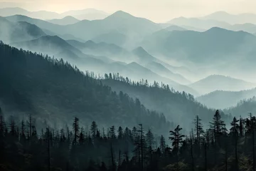 Foto auf Acrylglas Wald im Nebel Moody Smoky Mountain Landscape: Stunning Smoke Color Photography
