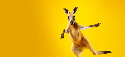 Foto op Plexiglas Energetic kangaroo jumping high in the air with a surprised expression on yellow. © Shamsher