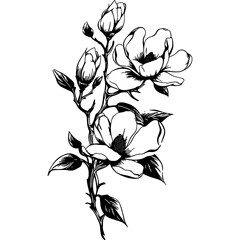 Magnolia flower vector design, Floral arrangement black silhouette, Vertical Magnolia SVG, blooming flowers printable png images, Sublimation designs