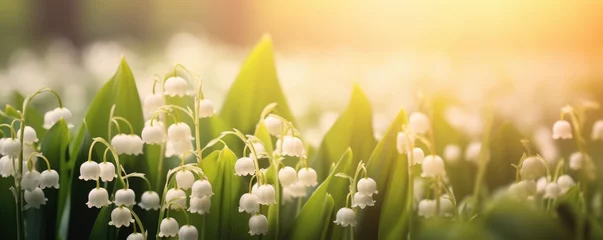 Stof per meter Lily of the valley flowers at golden hour © Georgina Burrows