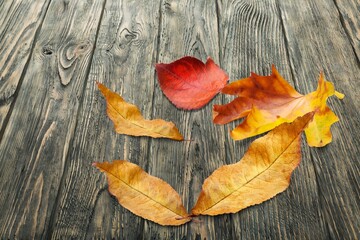 Naklejka na ściany i meble Autumn dry fall leaves on wooden desk
