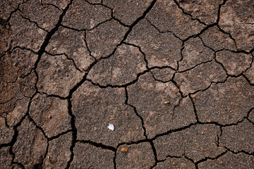 Wall texture soil dry crack pattern of drought lack of water of nature brown old broken background.