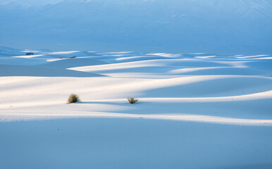 White Sand Dunes Fade Into The Mountains In The Distance