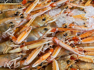 Chilled Langoustines (Nephrops norvegicus) on Ice in French Supermarket's Fish Section