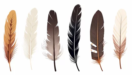 Foto op Aluminium Veren set collection of feathers isolated on a background for design and overlay