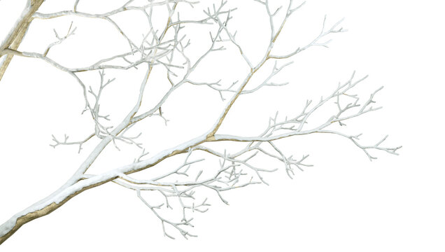 Tree branches winter on transparent backgrounds 3d render png