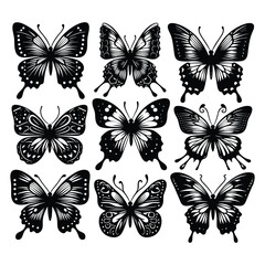 Set of butterfly silhouettes isolated on a white background, Vector illustration.