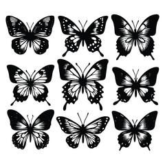Set of butterfly silhouettes isolated on a white background, Vector illustration.