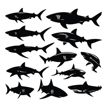 Set of Shark silhouettes isolated on a white background, Vector illustration.