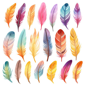 Set, collection of colorful feathers, watercolor illustration isolated on white.