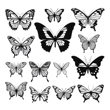 Set of Black Butterfly in Shadow. Set of Butterfly black icon. Butterfly silhouette isolate png.