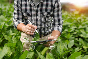Hands of farmer, Agriculture technology farmer man using tablet Modern technology concept...