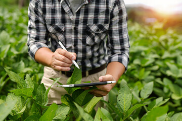 Hands of farmer, Agriculture technology farmer man using tablet Modern technology concept agriculture.