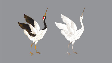 bird illustration for book drawing page