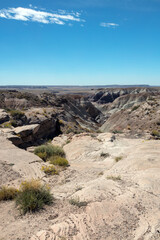 Dry canyon arroyo in the Petrified Forest National Park in Arizona United States