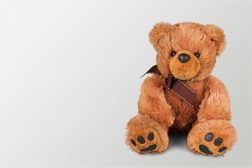 Cute soft toy Teddy Bear