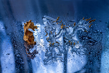 Golden dragon symbol of year 2024. Two decorative Chinese Dragons. Strict mother and little cub. Glass and golden metal. On wet chrome metal background. Lunar New Year
