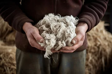 Foto auf Alu-Dibond Old man gathers sheared sheep wool from ground on farm yard closeup. Mature farmer processes animal fur in ancient way outdoors. Traditional crafts of woven material producing at countryside © Stavros