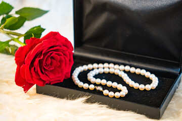 Gift: opened jewelry box containing a pearl necklace with red rose on white fur