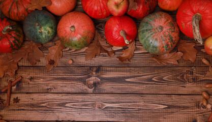Thanksgiving November colorful pumpkins top view. Dry oak leaves, acorns on old rustic wooden  table background. Fall menu, holiday, harvest season, festive template with copy space