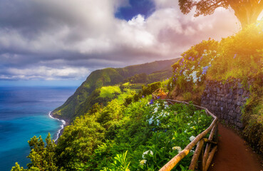 Viewpoint Ponta do Sossego, Sao Miguel Island, Azores, Portugal. View of flowers on a mountain and...