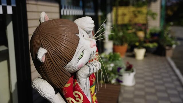 Nekomata Yokai, Japanese Folklore Creature in Fukusaki Japan 4k