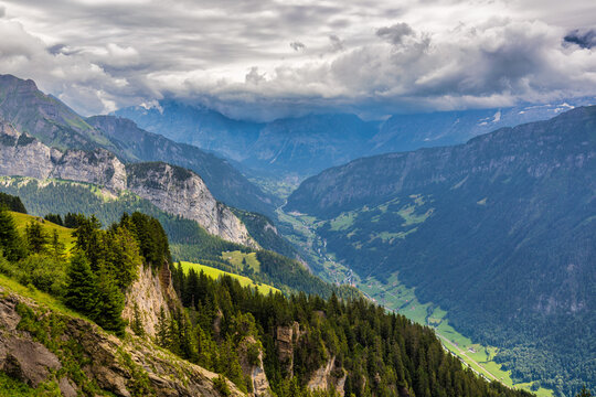 Grindelwald view and summer Swiss Alps mountains panorama landscape, green fields and high peaks in background, Switzerland, Bernese Oberland, Europe.