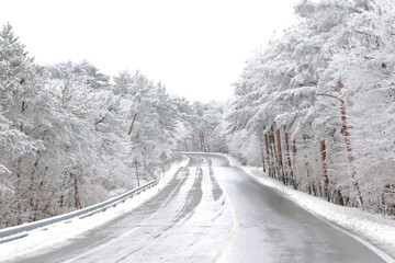 대한민국 제주도의 유명한 관광 명소인 1100고지 습지의 겨울 풍경이다.