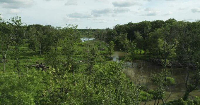 Aerial Reveals Vegetated Swamps Near Spile Lake In Vernon County, Missouri, USA.