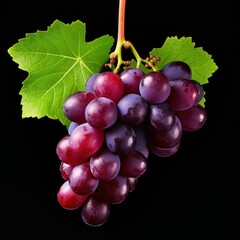 Fototapeta premium fresh grape cluster with leaves