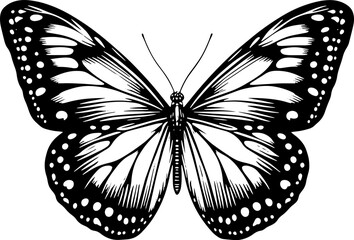 Morpho Butterfly icon 7