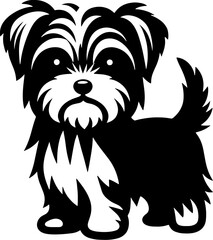 Morkie icon