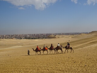 駱駝に乗ってギザの三大ピラミッドを闊歩　エジプト　Giza, Egypt