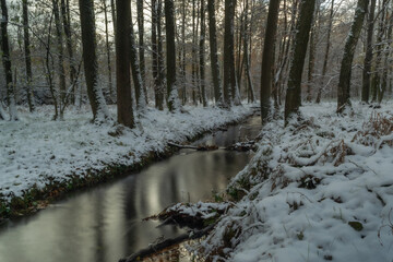 Snow and creek in winter forest