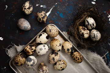 Fototapeta na wymiar Fresh quail eggs