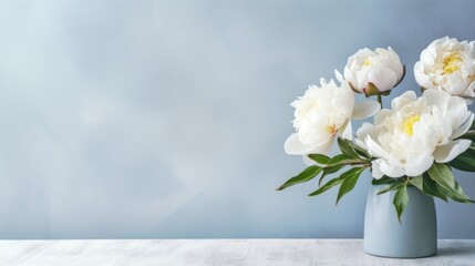 Bouquet of Peony flowers in vase on a blue background. Beautiful spring flowers. Copy space. Happy...