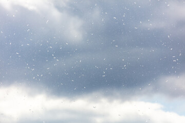 Festive confetti in flight against the background of the sky with clouds